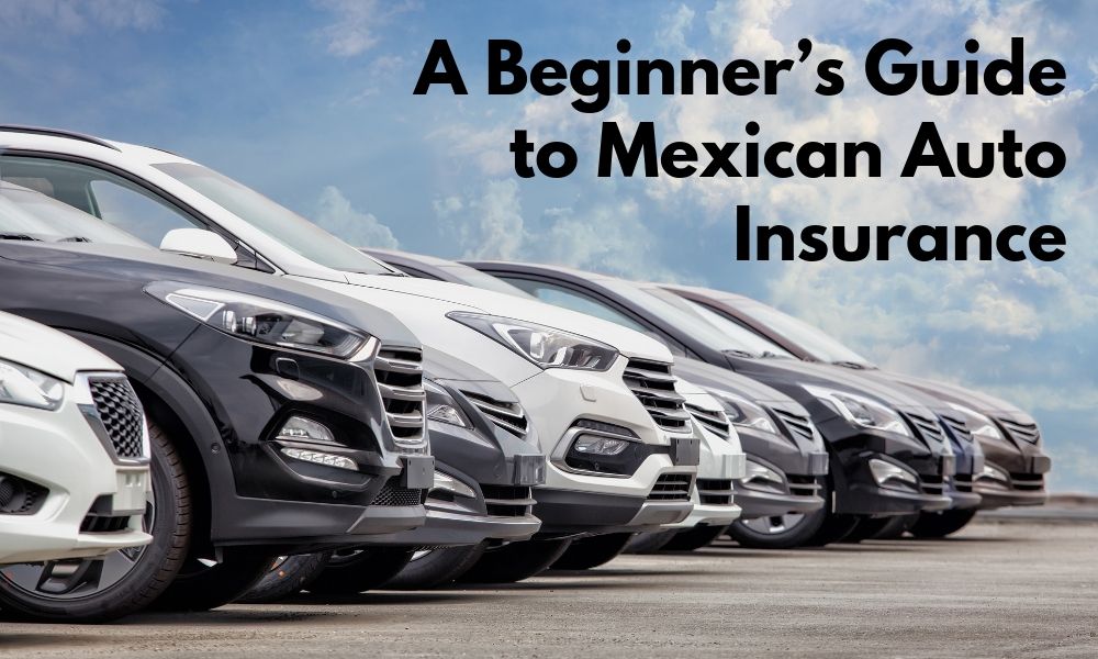 auto insurance to travel to mexico